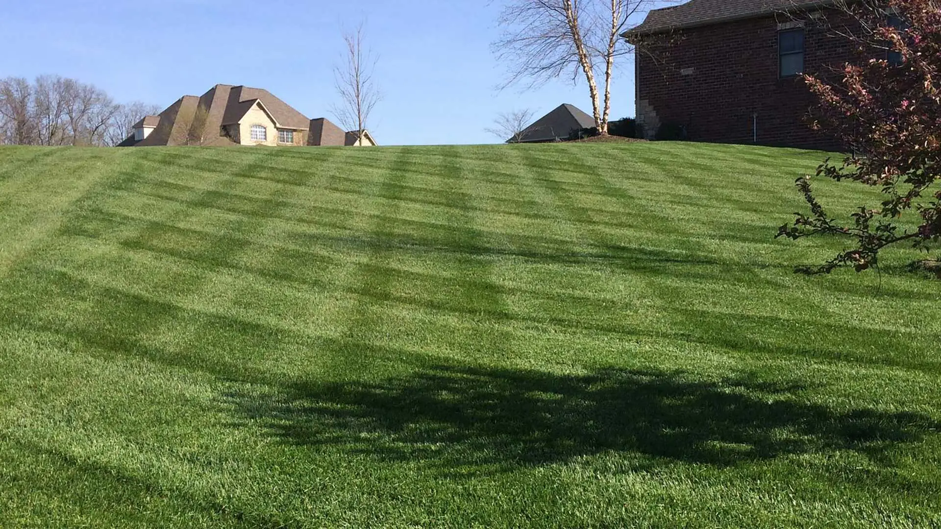 A healthy lawn with aeration and fertilization services in Waterloo, IL.