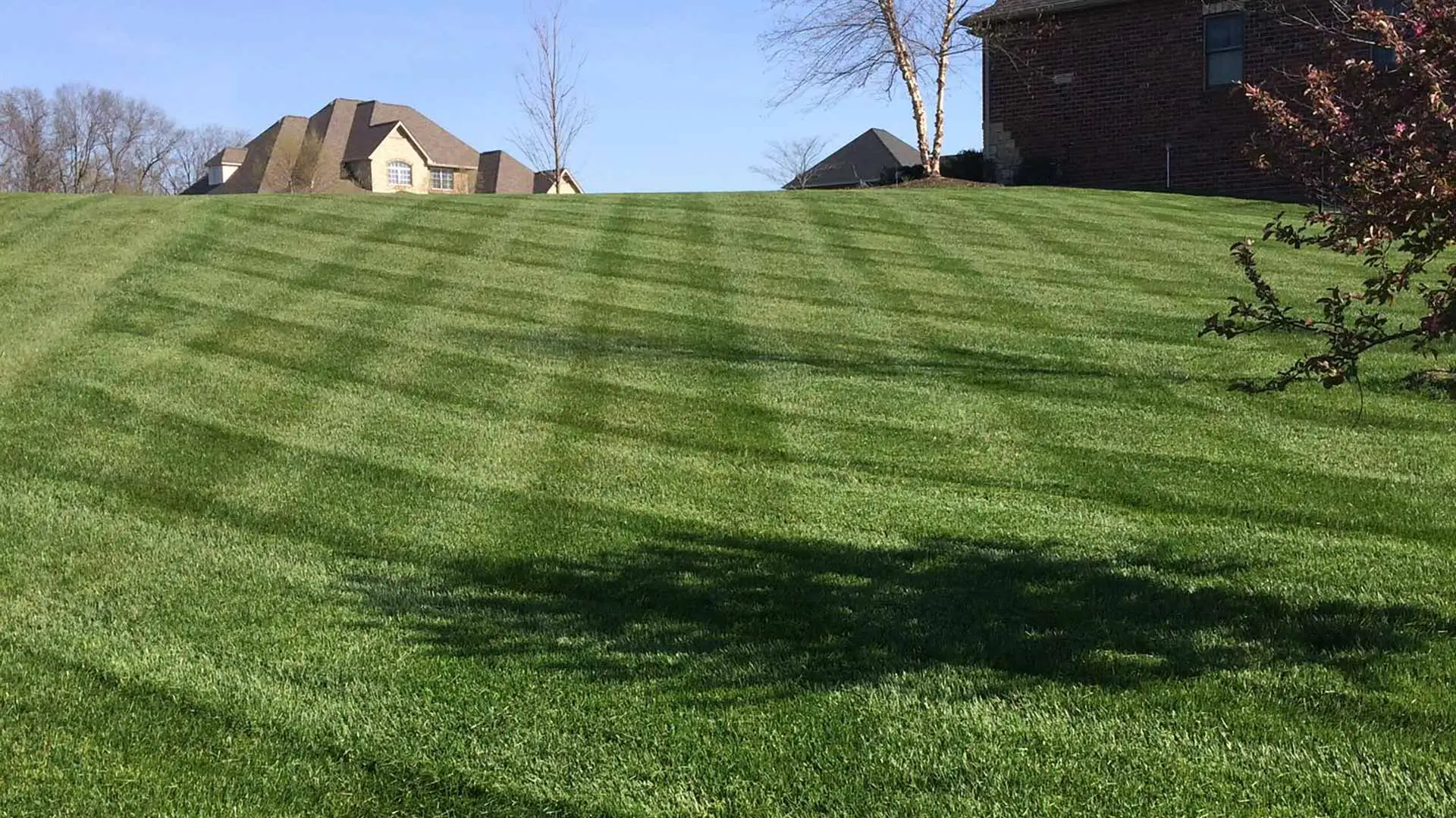 Fertilized and maintained yard in Red Bud, IL.