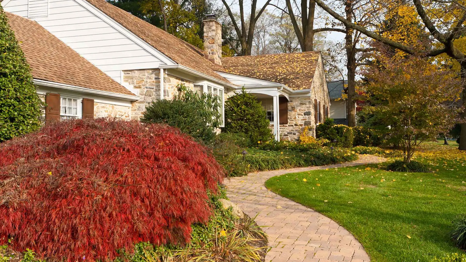 A yard in Waterloo, IL that requires yard cleanup services.