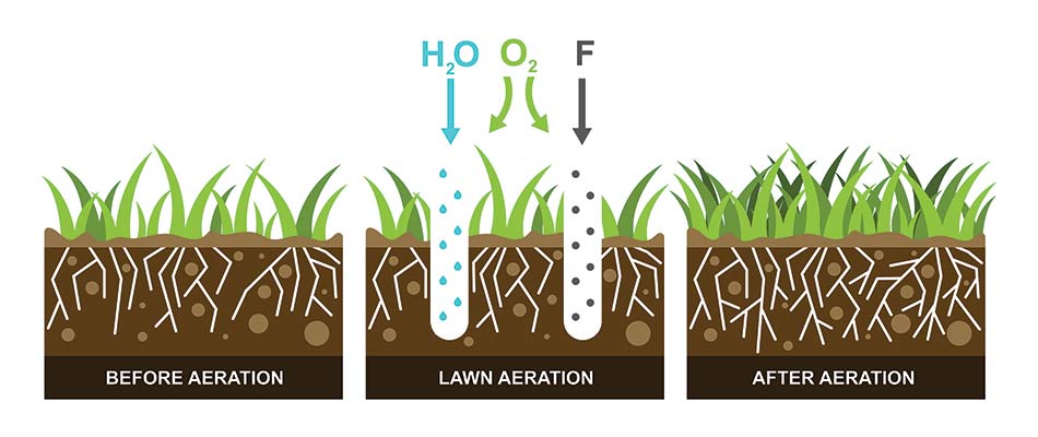 Why Fall Is Better Than Spring for Aerating & Overseeding Lawns in ...