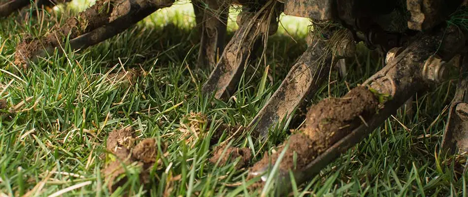 How Can Aeration & Overseeding Fix Your Lawn?