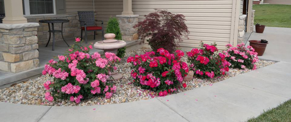 A custom landscape bed in front of a home in Columbia, IL.