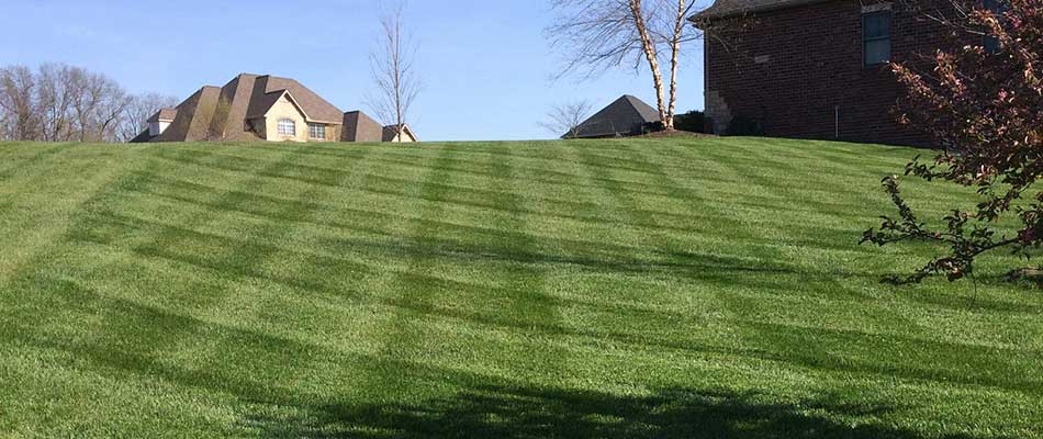 Why It's Crucial to Keep Your Lawn Fertilized in 2020