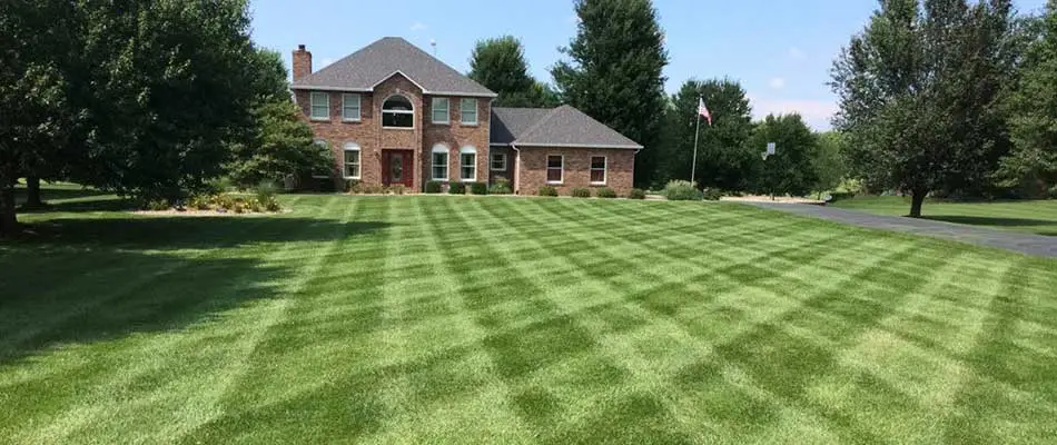 A regularly fertilized lawn in Waterloo, IL.