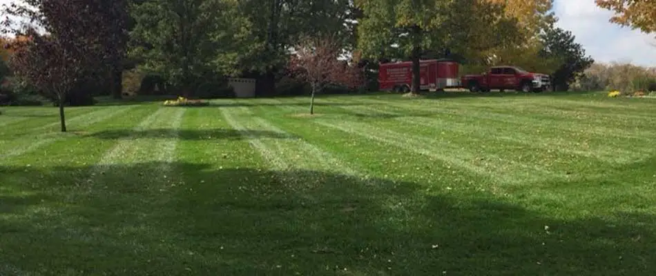 A fertilized and mowed lawn in Waterloo, IL.