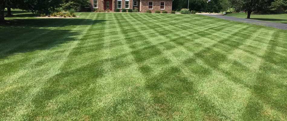 A healthy home lawn near Belleville, IL with regular lawn care services.