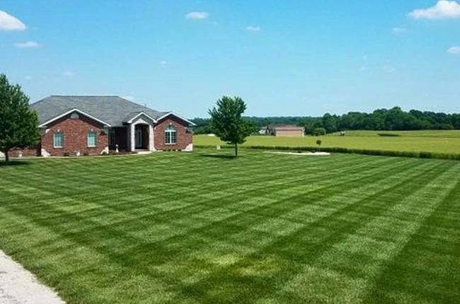Pricing for lawn fertilization and weed control in the Waterloo, IL area.