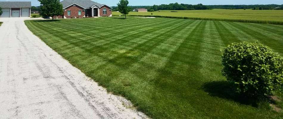 Home lawn with regular lawn care services in Columbia, IL.