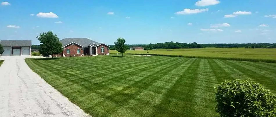This lawn in Waterloo, IL receives regular lawn maintenance services.