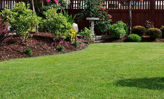 7-Steps to a Beautiful Lawn