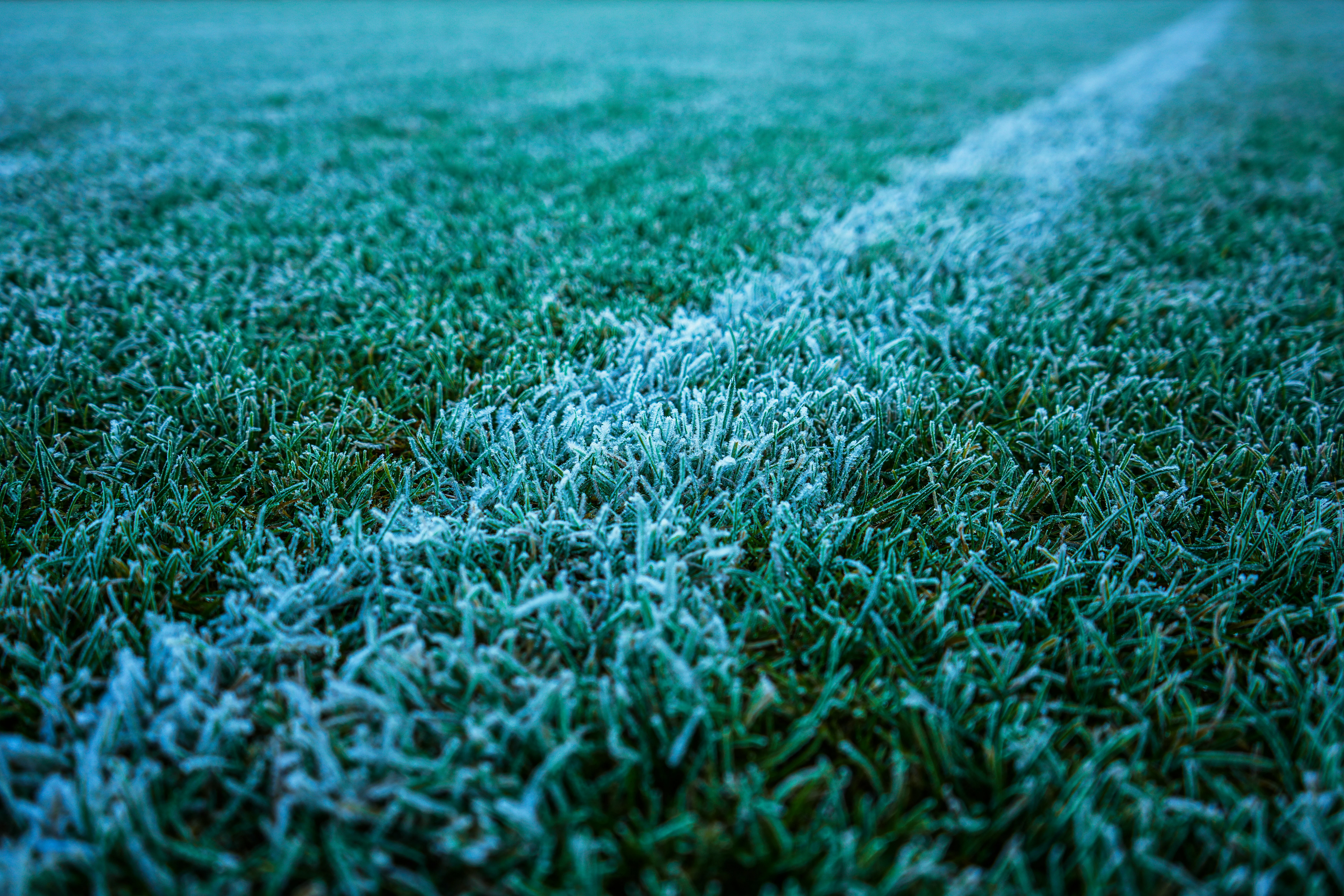 What Your Lawn Needs Now Before Winter Causes More Damage